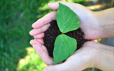 大宝娱乐-LG游戏|PT游戏|CQ9游戏